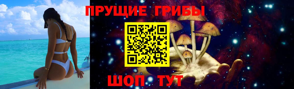 Глазов  Псилоцибиновые грибы мицелий  Псилоцибиновые грибы MAGIC MUSHROOMS  Вход с VPN 